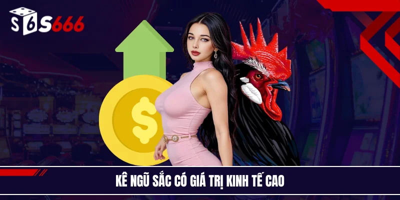 Kê ngũ sắc có giá trị kinh tế cao